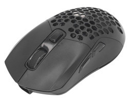 Bewinner RGB Ergonomik Makrolu Kablosuz Siyah Optik Gaming Mouse