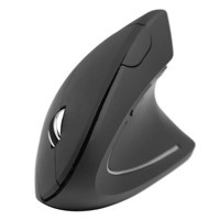 Bewinner Sessiz Ergonomik Dikey Makrolu Kablosuz Siyah Optik Mouse