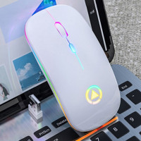 Huahai A2 RGB Sessiz Ergonomik Kablosuz Beyaz Optik Mouse