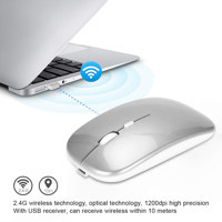 Ccylez Sessiz Ergonomik Kablosuz Gümüş Optik Mouse