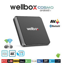 Wellbox Cosmo 16 GB Kapasteli 2 GB Ram Wifi 4K Android TV Box