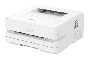 Dell P2500DNW Siyah-Beyaz Wifi Mono Tonerli Lazer Yazıcı
