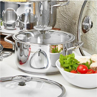 Amboss Cool 0687 İndüksiyon Cam Kapaklı Paslanmaz Çelik 28 cm Derin Tencere