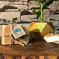 Elige Doğal Kayısı Katı Sabun 100 gr
