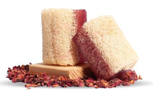 Proclis Bitkisel Kabak Lifli-Kolajen Katı Sabun 130 gr