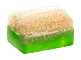 Es Series Doğal Kabak Lifli Aloe Vera-Kabak Lifli Katı Sabun 110 gr