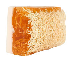 Dr. Bronos Doğal Kabak Lifli Ballı-Kabak Lifli Katı Sabun 120 gr