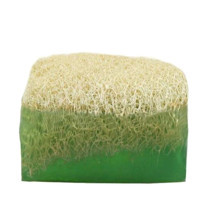 Glow&Glow Aloe Vera Katı Sabun 100 gr