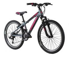 Carrera 2664 M6-2000-L 26 Jant 21 Vites Dağ Bisikleti Gri-Pembe