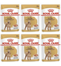 Royal Canin Poodle Caniche Tüy Sağlığı Destekleyici Kuzu Etli Parça Etli Yetişkin Köpek Maması 6 x 85 gr 6'lı