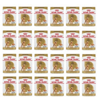 Royal Canin Poodle Kümes Hayvanlı Parça Etli Yetişkin Köpek Maması 24 x 85 gr 24'lü