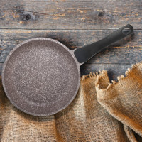 Carl Schmidt Sohn K2 Plastik Saplı Alüminyum 20 cm Düz Tava Gri