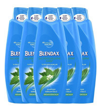 Blendax Saç Dökülmesine Karşı İçin Isırgan Özlü Şampuan 5x550 ml