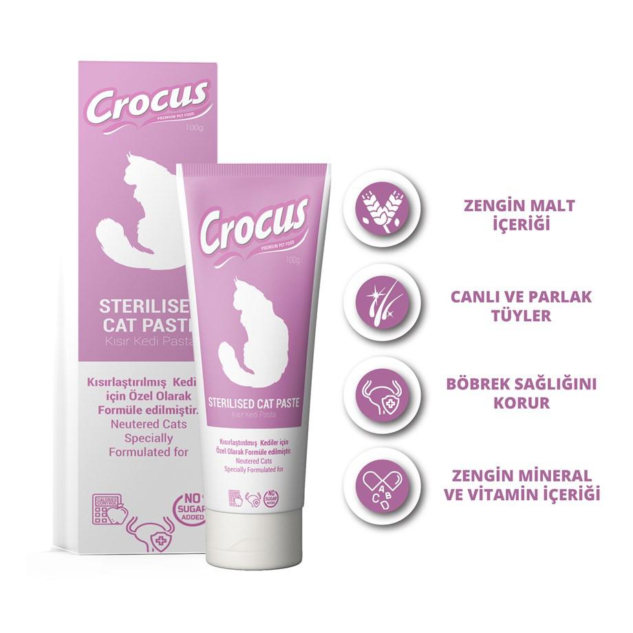 Crocus Multivitamini Tüy Yumağı Önleyici Macun 100 gr