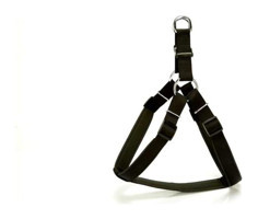 Doggie Comfort Ayarlanabilir Bel Tasması Gezdirme Köpek Tasması Siyah