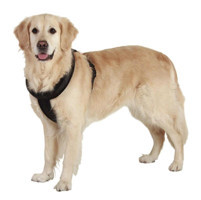 Karlie Yumuşak 52-60 Cm Ayarlanabilir Göğüs Tasması Gezdirme Köpek Tasması Siyah