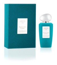 David Walker Torquıse Jawelr EDP Amber-Mandalina Kadın Parfüm 100 ml