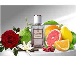 Qarnoza As Special As Your Style EDP Amber-Sandal Ağacı Kadın Parfüm 50 ml