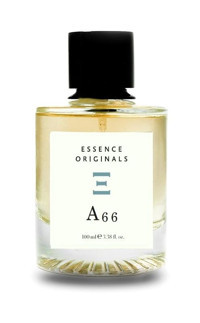 Essence Orıgınals A66 EDP Amber-Bergamot-Odunsu Kadın Parfüm 100 ml