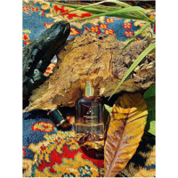 Famak De Fragancia 112 Hypnotic Posion EDP Misk-Sandal Ağacı Kadın Parfüm 100 ml