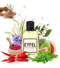 Eyfel Parfüm M96 EDP Amber-Odunsu-Sandal Ağacı Erkek Parfüm 50 ml