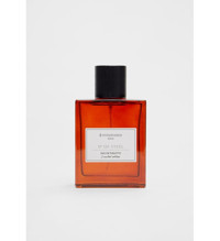 Stradivarius Steel EDT Amber-Baharatlı-Odunsu Erkek Parfüm 100 ml