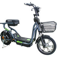 Volta VSM 250 W 40 Km 20 Jant 7 Vites Elektrikli Bisiklet Siyah-Yeşil