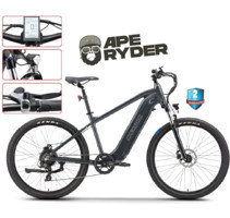 Ape Ryder Buffalo 250 W 25 Km 20 Jant 7 Vites Elektrikli Bisiklet Siyah