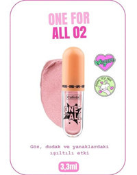Callista Beauty One For All 02 Pink Cosmos Toz Işıltılı Stick Göz Farı