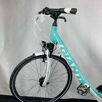 Bike And Art Nexus Giant 28 Jant 8 Vites Şehir / Tur Bisikleti Turkuaz