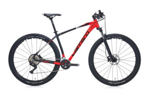 Carraro Big 2920 29 Jant 21 Vites Dağ Bisikleti Gri-Kırmızı