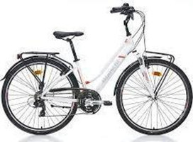 Bianchi TRAVEL 505 440H 28 Jant 21 Vites Şehir / Tur Bisikleti Gri-Turkuaz