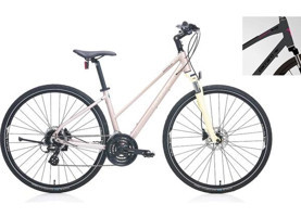 Carraro Sportive 226 26 Jant 24 Vites Şehir / Tur Bisikleti Antrasit