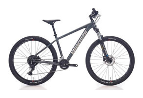 Bianchi Magma Cues 29 Jant 21 Vites Dağ Bisikleti Gri-Siyah
