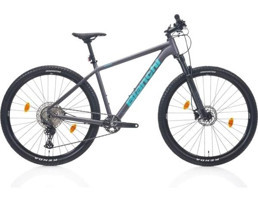 Bianchi Magma Comp 9.s Deore 29 Jant 21 Vites Dağ Bisikleti Gri-Mavi