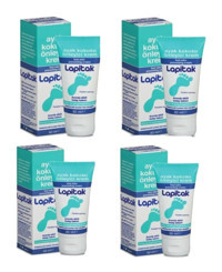Lapitak Koku Önleyici Ayak Kremi 4x60 ml