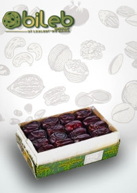 Bileb Serinhisar Glutensiz İran Hurması 500 gr