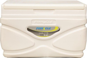 Pinnacle Prudence 11 lt Çakmaklıklı Araç Buzdolabı
