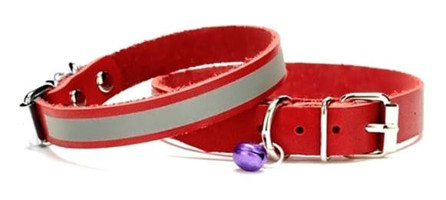 Doggie Zilli Kırmızı Ayarlanabilir Gezdirme Boyun Kedi Tasması