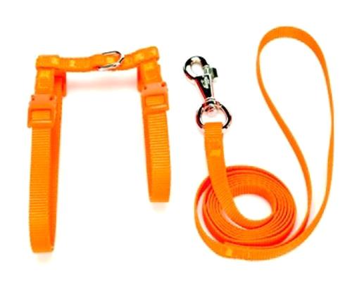 Doggie Düz Turuncu Ayarlanabilir Gezdirme Göğüs Kedi Tasması