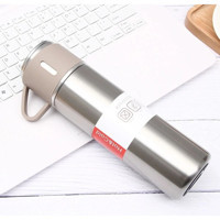 Flyon Look 527 Paslanmaz Çelik 500 ml Outdoor Matara Termos Gri