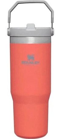 Stanley The Iceflow Flip Straw Paslanmaz Çelik 890 ml Pipetli Outdoor Bardak Termos Turuncu
