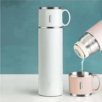 Flyon Look 316 Paslanmaz Çelik 580 ml Outdoor Matara Termos Beyaz