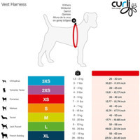 Curli Merino 3XS Makaralı Boyun H Tipi Köpek Tasması Siyah