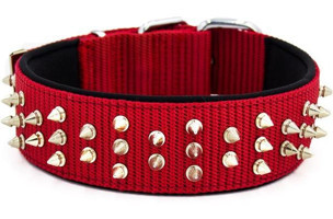 Doggie 5x50-60 cm Airtag Ayarlanabilir Boyun Köpek Tasması Kırmızı