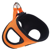 Actirex Neon Moov XS Ayarlanabilir Boyun H Tipi Köpek Tasması Turuncu