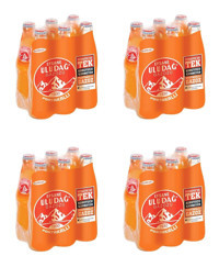 Uludağ Efsane Portakallı Şişe Gazoz 24x250 ml