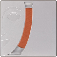 Kryolan 05191 Tc3 Işıltılı Toz Allık