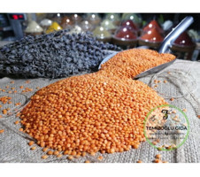 Temiz Organik Kırmızı Mercimek 1 kg