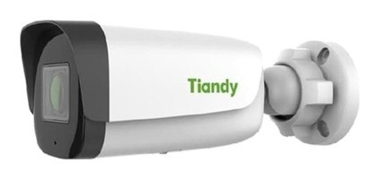 Tiandy TC-C32UN Ethernet 1 Kameralı 360 Derece Dönme Gece Görüşlü Zoom IP Dış Mekan Kablosuz Güvenlik Kamerası